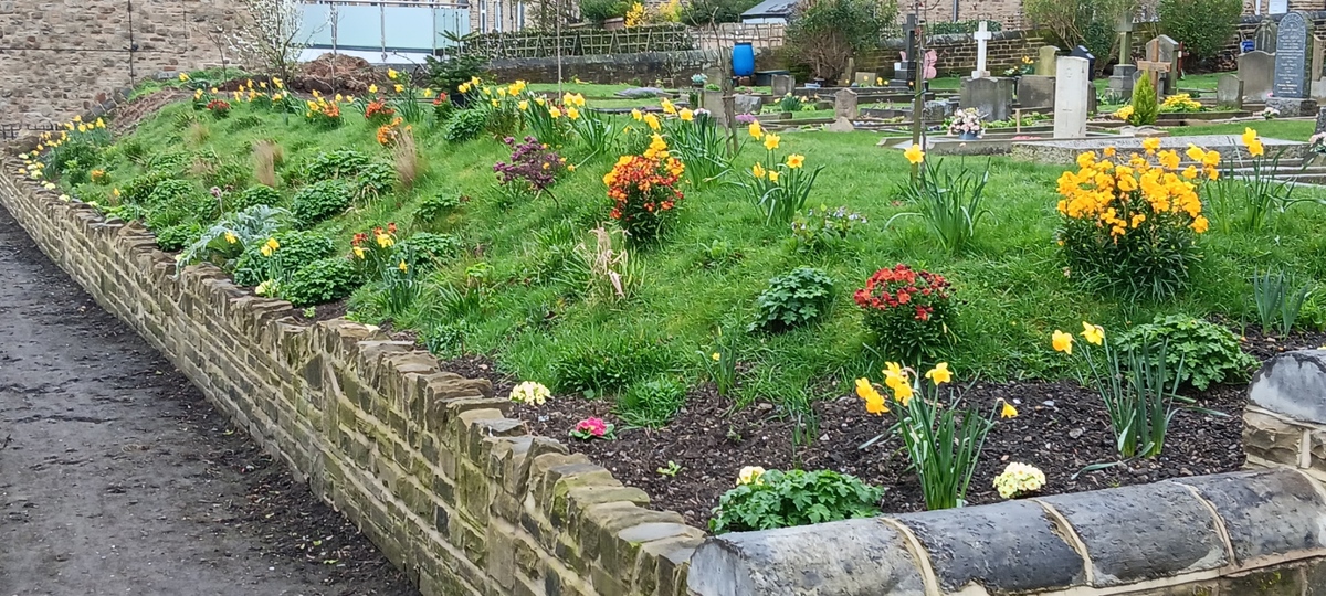 The embankment in bloom March 2026